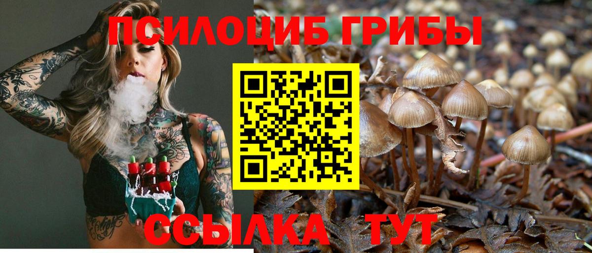 Галлюциногенные грибы Cubensis Усть-Илимск